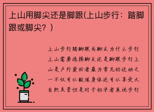 上山用脚尖还是脚跟(上山步行：踏脚跟或脚尖？)