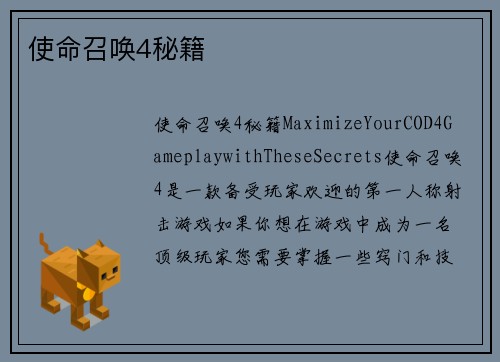 使命召唤4秘籍
